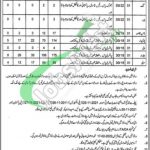 Youth Affairs and Sports Department Punjab Jobs