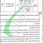 Session Court Multan Jobs