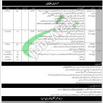 Ministry of Human Rights Jobs