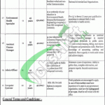 Government of Punjab Primary & Secondary Healthcare Department Jobs