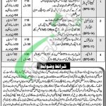 District & Session Court Haripur Jobs 2022