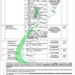 Provincial Election Commission Punjab Jobs