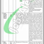 www.pec.org.pk Jobs