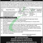 Ayub Agriculture Research Institute Faisalabad Jobs