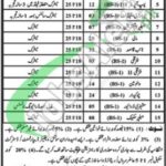 wasa jobs