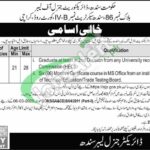 Labour Department Sindh Jobs
