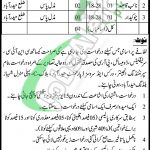 Works and Services Department Hyderabad Jobs
