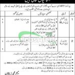 Headquarter 477 Army Survey Group Engineers Jobs