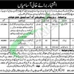 Punjab Archaeology Department Jobs