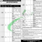 ECAC Pakistan Jobs 2024 Electronic Certification Accreditation Council Jobs