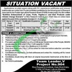 Rice Research Institute Kala Shah Kaku Jobs