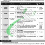 PO Box 750 GPO Rawalpindi Jobs