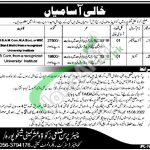 District Zakat Committee Sheikhupura Jobs