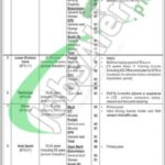 Ministry of Foreign Affairs Islamabad Jobs