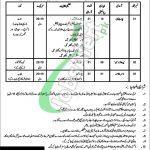 Armed Forces Inspectorate of Medical Stores Lahore Jobs