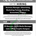 Oppo Jobs