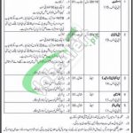 CMT and SD Golra Jobs