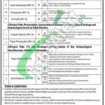 Directorate of Archaeology & Museums KPK Jobs