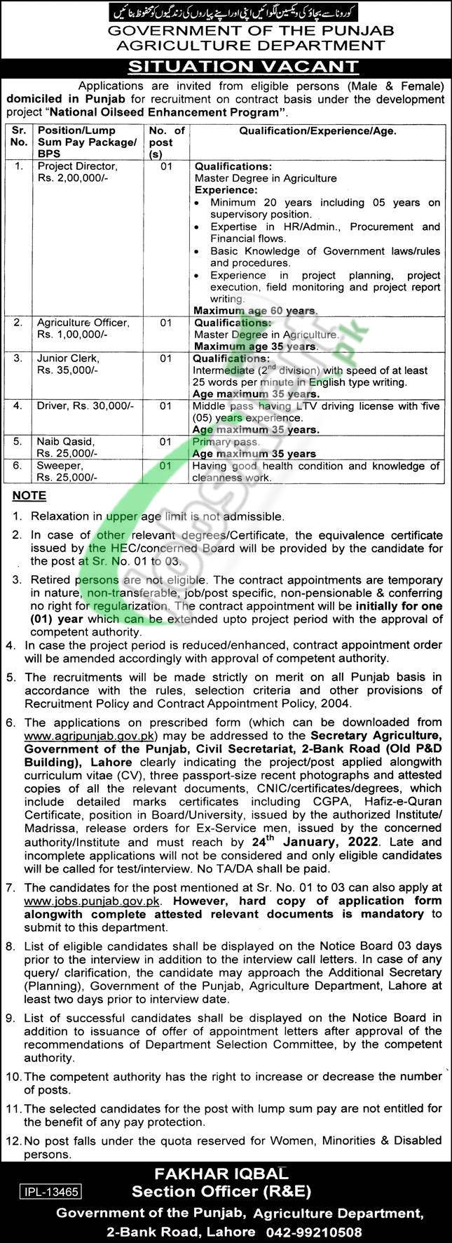Punjab Agriculture Department Jobs