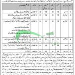 District and Session Court Dir Lower Jobs