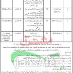 District & Session Court Malakand Jobs