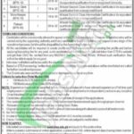 Archaeology & Museums Department KPK Jobs 