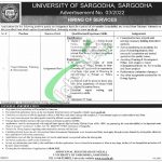 University of Sargodha Jobs