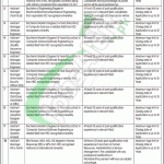 Central Power Purchasing Agency Jobs