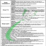 Punjab Health Initiative Management Company Jobs