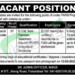 Punjab Agricultural Research Board Jobs