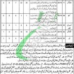 Jobs in Youth Affairs and Sports Department Punjab