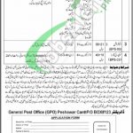 PO Box 123 Peshawar Jobs