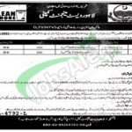 LWMC Lahore Jobs