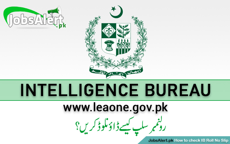 IB Roll No Slip 2024 www.leaone.gov.pk Test Date Result Online Check