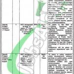 Planning Commission of Pakistan Jobs