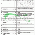 Punjab University Jobs