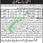 Special Education Department Punjab Jobs