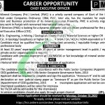 Punjab Mineral Company Lahore Jobs