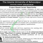 Islamia University Bahawalpur Jobs