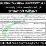 BZU Multan Jobs