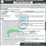 UET Mardan Jobs