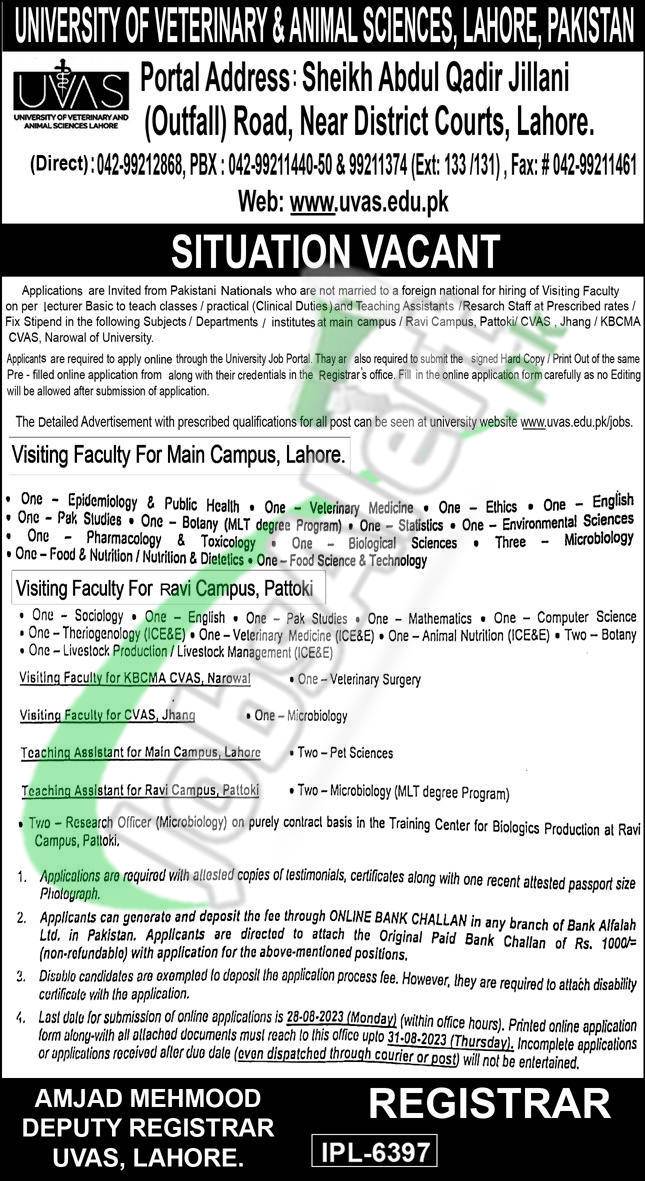 www.uvas.edu.pk Jobs