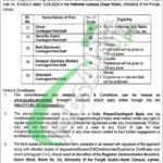 Punjab University Careers