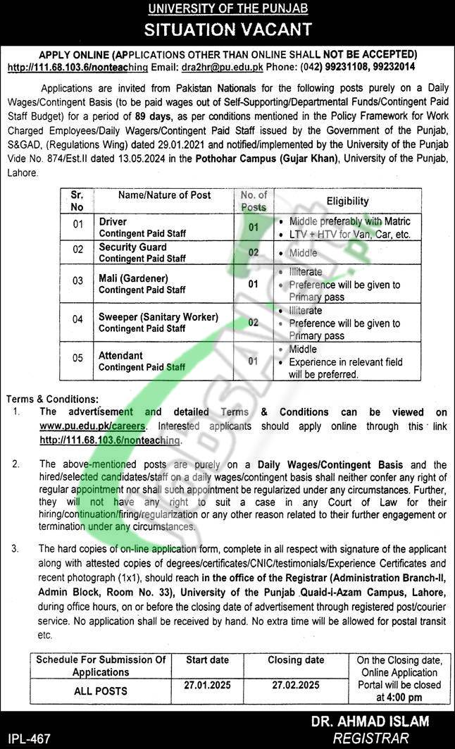 Punjab University Careers