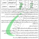 Civil Court Toba Tek Singh Jobs