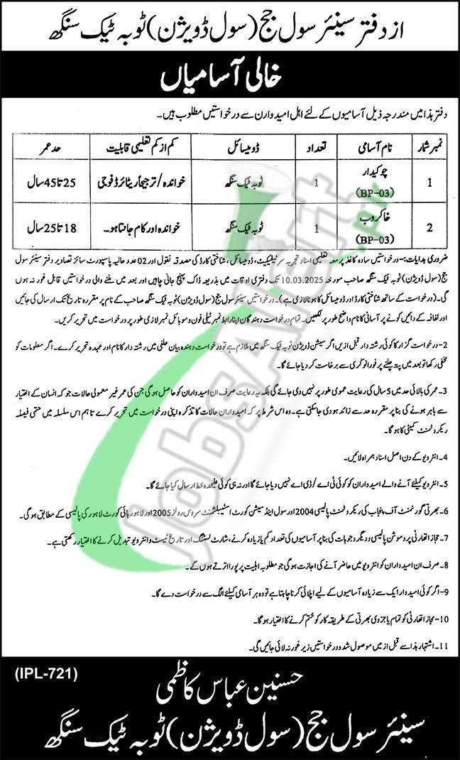 Civil Court Toba Tek Singh Jobs