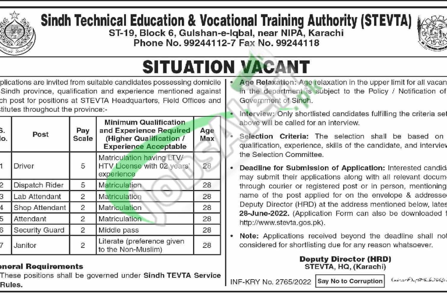 STEVTA Jobs