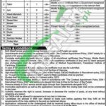 Faisalabad Institute of Cardiology Jobs