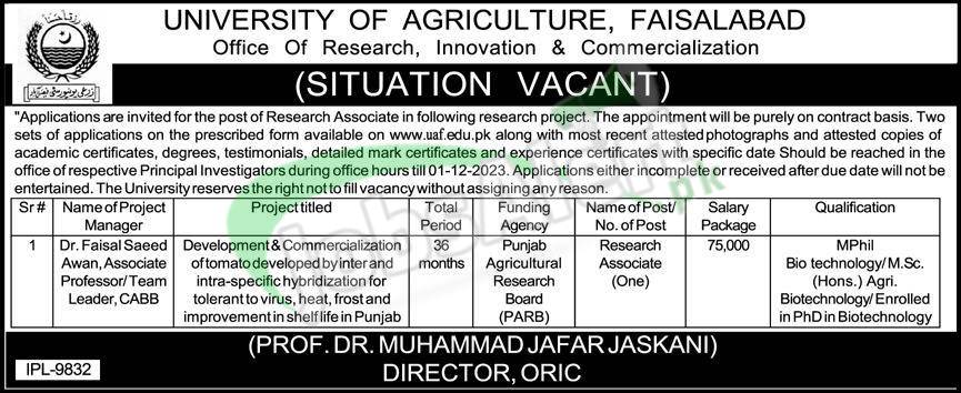 University of Agriculture Faisalabad Jobs