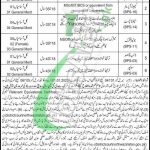 Session Court North Waziristan Jobs